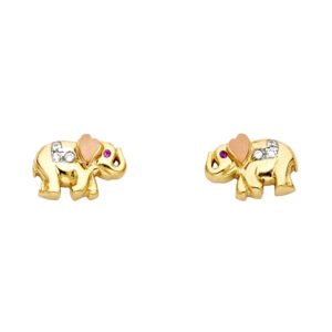 Earrings ER-1324