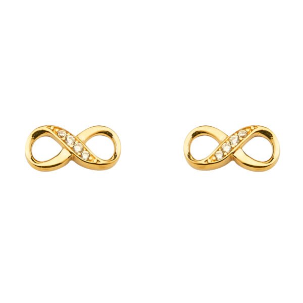 Earrings ER-1655