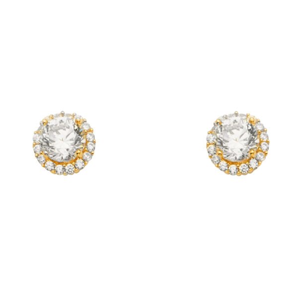 Earrings ER-1657