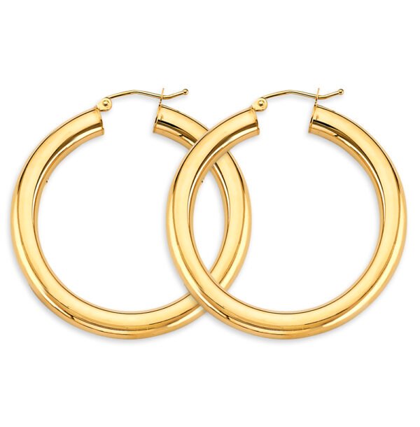 Earrings ER-1898